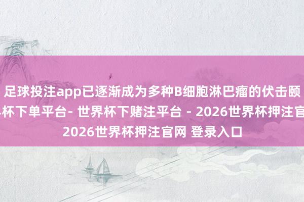 足球投注app已逐渐成为多种B细胞淋巴瘤的伏击颐养选拔-世界杯下单平台- 世界杯下赌注平台 - 2026世界杯押注官网 登录入口