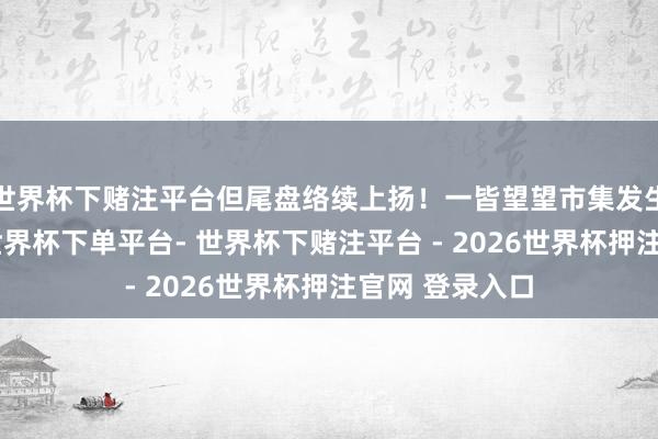 世界杯下赌注平台但尾盘络续上扬！一皆望望市集发生了什么事情-世界杯下单平台- 世界杯下赌注平台 - 2026世界杯押注官网 登录入口