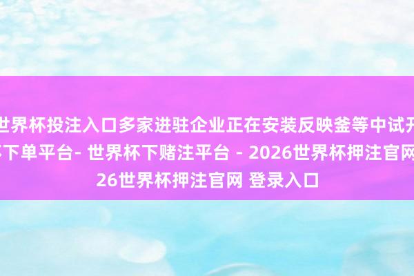 世界杯投注入口多家进驻企业正在安装反映釜等中试开拓-世界杯下单平台- 世界杯下赌注平台 - 2026世界杯押注官网 登录入口