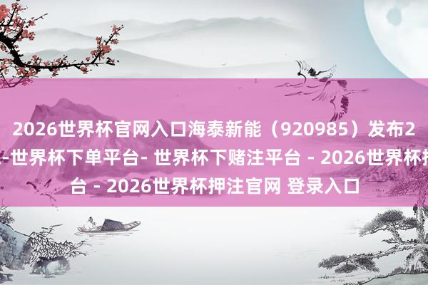2026世界杯官网入口海泰新能（920985）发布2026年半年度敷陈-世界杯下单平台- 世界杯下赌注平台 - 2026世界杯押注官网 登录入口