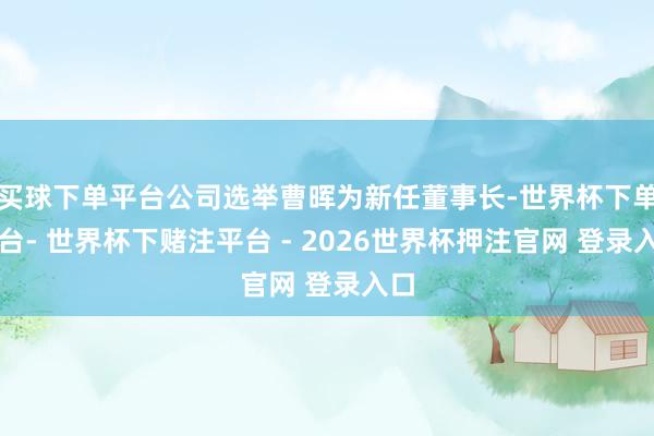 买球下单平台公司选举曹晖为新任董事长-世界杯下单平台- 世界杯下赌注平台 - 2026世界杯押注官网 登录入口