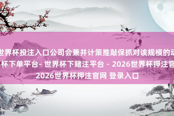 世界杯投注入口公司会兼并计策推敲保抓对该规模的动态柔软-世界杯下单平台- 世界杯下赌注平台 - 2026世界杯押注官网 登录入口
